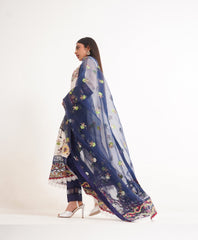 Cotton Tissue PEACOCK